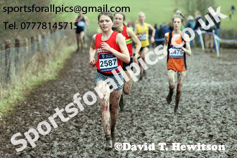 Womens under-20s 2018 British Inter Counties Cross Country Champs., Prestwold Hall, Loughborough. Photo: David T. Hewitson/Sports for All Pics
